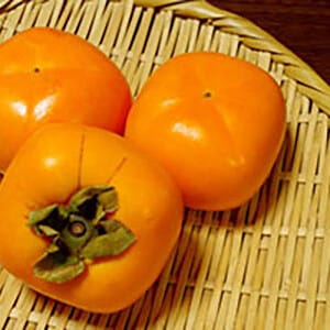 柿