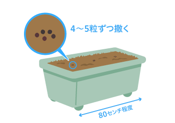 プランターに三箇所種をおく