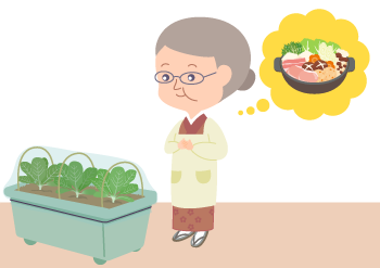 白菜を見守るおばあ